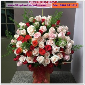 Hoa Tươi Tặng Khai Trương - OK16